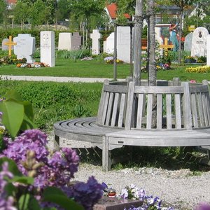Runde Bank um einen Baum auf einem Friedhof