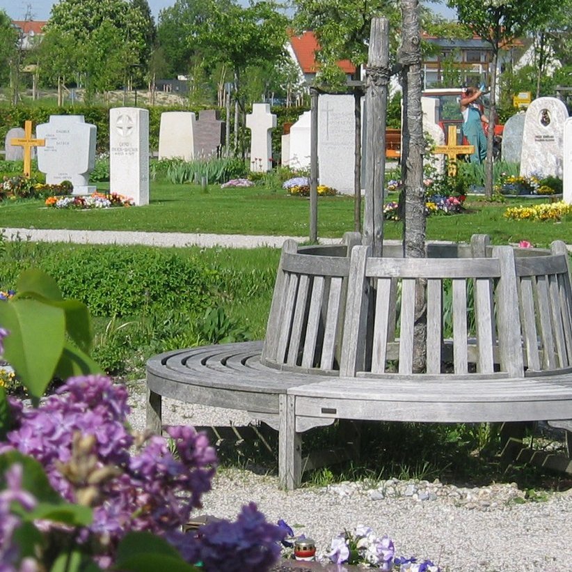Runde Bank um einen Baum auf einem Friedhof