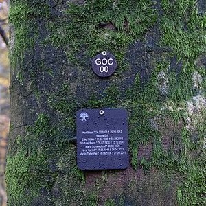 Plakette an einem Baum im Bestattungswald
