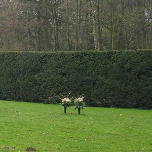 Rasenfläche eines anonymen Grabfeldes