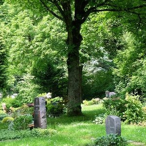 Einzelne Grabstelle unter einem Baum auf einer Rasenfläche