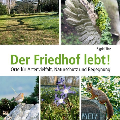 Buchcover Der Friedhof lebt